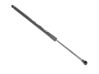 Tailgate strut 0342870425N