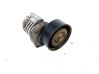 Napinacz paska alternatora 950452