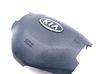 Steering wheel airbag 569001H600