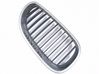 Front fog light trim/grill 7027062