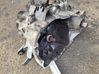 Manual 5 speed gearbox 