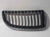 Front grill 7120010