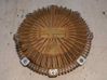 Embrague viscoso ventilador 
