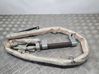 Airbag del techo P55351260AE