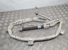 Airbag del techo P55351261AE
