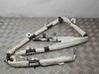 Airbag del techo 107782700D