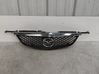 Front grill C10050710C