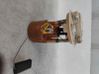 Bomba interna de combustible 250607248R