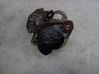 Starter motor 98014743