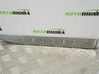 Moldura protectora del borde delantero 9807062780