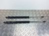 Tailgate/trunk strut/damper 
