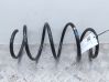 Front coil spring 