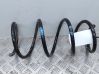 Front coil spring 