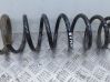 Rear coil spring 