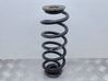 Rear coil spring 13366699