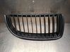 Front grill 7120008