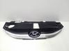 Front bumper upper radiator grill 