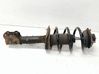 Front shock absorber/damper 