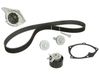 Timing belt 530019730