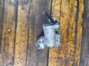 EGR valve A2C53028425