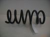 Rear coil spring 