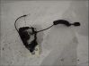 Cerradura de puerta delantera 805030001R