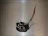 Front door lock BS3E58310B