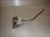 Cerradura de puerta trasera 9138K4