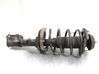 Front shock absorber with coil spring 