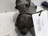 Starter motor 55561503