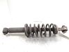Rear shock absorber/damper 