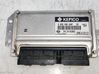 Engine control unit/module 3911002055