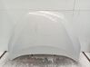 Engine bonnet/hood 