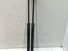 Tailgate/trunk strut/damper 9639853880