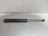 Tailgate/trunk strut/damper 9819027880
