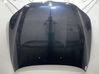 Engine bonnet/hood 41617111385