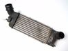 Intercooler radiator 00000384G6