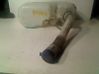 Windshield washer fluid reservoir/tank 6431G2