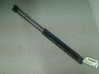 Tailgate/trunk strut/damper 
