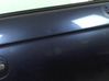 Puerta delantera 760043A021A