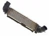 Intercooler radiator 281904A160