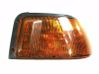 Front fender indicator light 