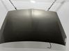 Engine bonnet/hood MN161899