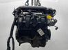Engine 55579854