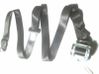 Rear seatbelt 13251319