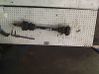 Rear driveshaft 90512925