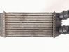 Interkūlerio radiatorius 0384K4
