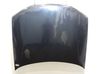 Engine bonnet/hood 7901G6