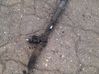 Steering rack 4B1422065S