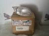 Front indicator light 1309162
